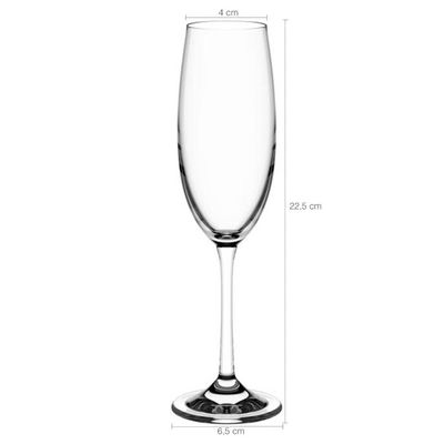 Jogo de Taças de Cristal Titânio 220ml Conjunto 6 Taças Para Champagne Sense