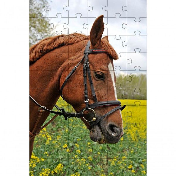 Kit 4 Quebra-cabeças De Cavalos Diversão Inclusiva E Inteligente 24 Peças Grandes
