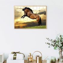 Quebra-cabeça Educativo 500 Peças Lindos Cavalos Que Encantam E Ensinam