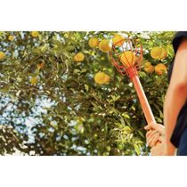 Colhedor De Frutas Medio Tramontina Em Aço Sem Cabo