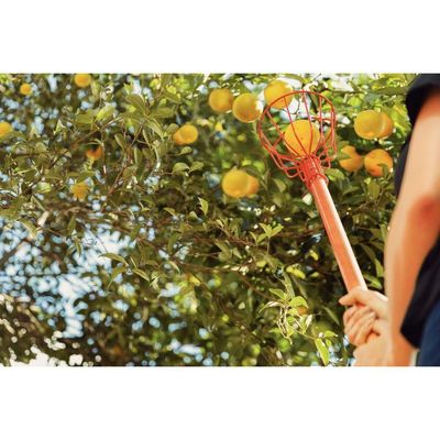 Colhedor De Frutas Medio Tramontina Em Aço Sem Cabo