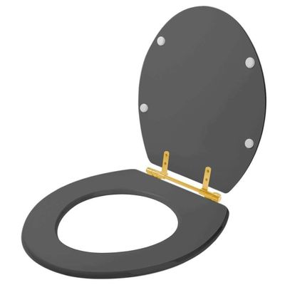 Assento Sanitario Poliéster Convencional Universal Oval Cinza Escuro Com Ferragem Dourada