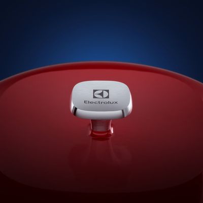Panela de Ferro Fundido Esmaltado Molheira Electrolux Expert 20cm Vermelha