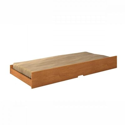 Cama Auxiliar De Solteiro Premium 088 Cinamomo Conquista Cinamomo