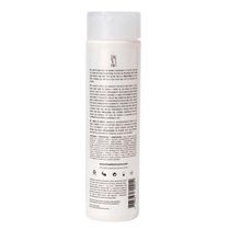Braé Divine Condicionador Antifrizz 250ml