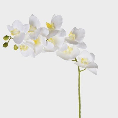 Haste Orquídea 3d X9 Branco 46401-008