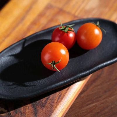 Travessa Rasa Oval 16,5x8cm Orgânico Preto Matte Comida Japonesa Cerâmica Porto Brasil