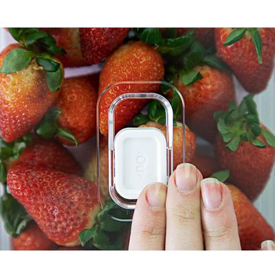 Kit 3 Organizadores Geladeira 2,8L Cozinha Multiuso Com Respiradouro Frutas Legumes Clear Fresh OU.