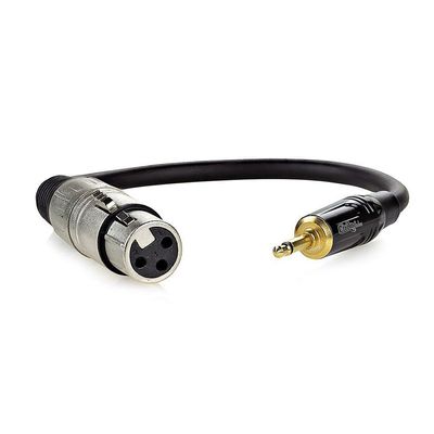 Cabo Xlr Para P2 áudio Profissional Mono - 20 Cm
