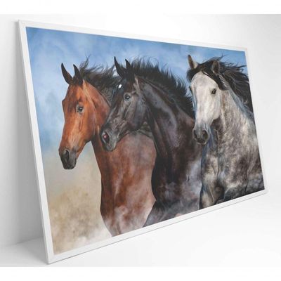 Quadro Cavalos Correndo Medidas 90x60 Cm Impressão Tecido Canvas