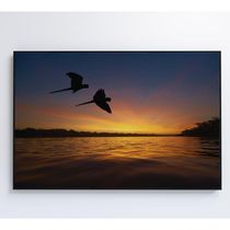 Quadro Por Do Sol No Pantanal Medidas 120x80 Cm Impressão Vidro Acrílico