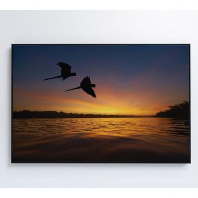 Quadro Por Do Sol No Pantanal Medidas 120x80 Cm Impressão Vidro Acrílico