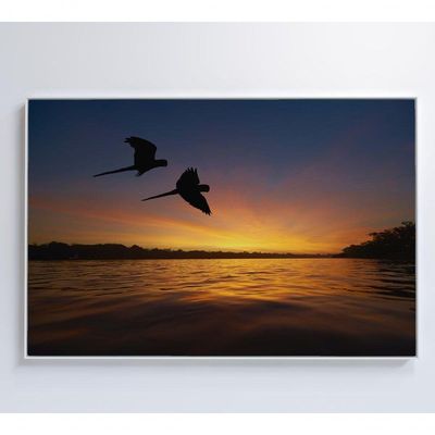 Quadro Por Do Sol No Pantanal Medidas 120x80 Cm Impressão Vidro Acrílico