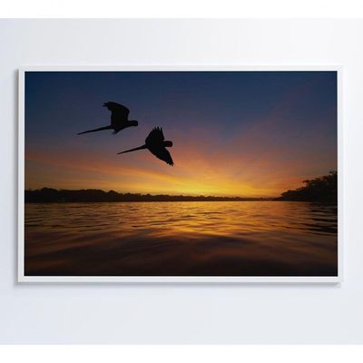Quadro Por Do Sol No Pantanal Medidas 120x80 Cm Impressão Tecido Canvas
