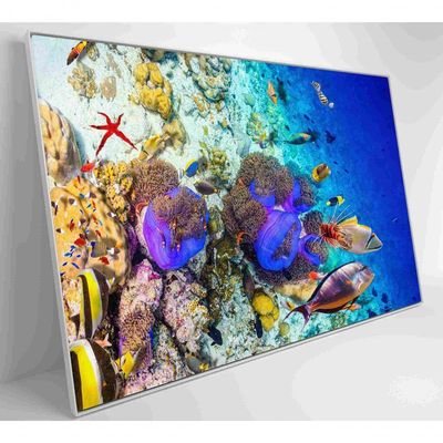 Quadro Peixes Coloridos Fundo Do Mar Medidas 120x80 Cm Impressão Vidro Acrílico