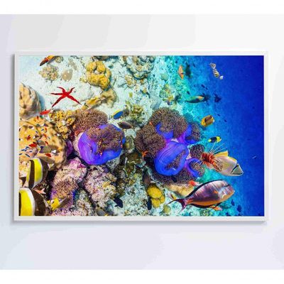 Quadro Peixes Coloridos Fundo Do Mar Medidas 120x80 Cm Impressão Vidro Acrílico