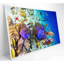 Quadro Peixes Coloridos Fundo Do Mar Medidas 120x80 Cm Impressão Vidro Acrílico