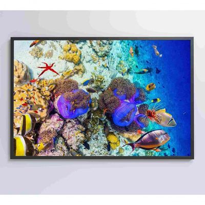 Quadro Peixes Coloridos Fundo Do Mar Medidas 120x80 Cm Impressão Vidro Acrílico