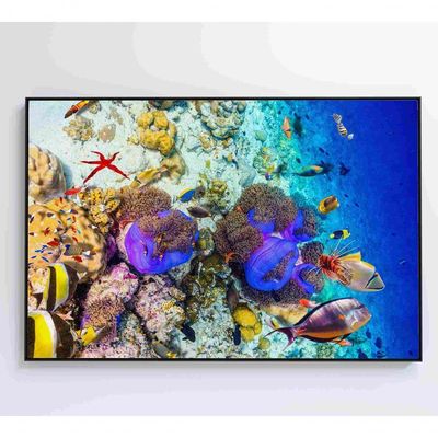 Quadro Peixes Coloridos Fundo Do Mar Medidas 120x80 Cm Impressão Vidro Acrílico