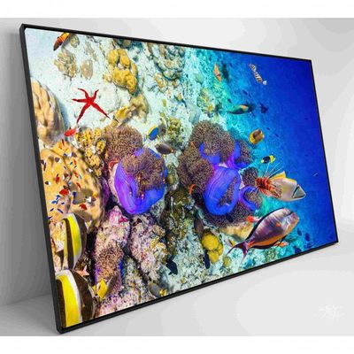 Quadro Peixes Coloridos Fundo Do Mar Medidas 120x80 Cm Impressão Vidro Acrílico