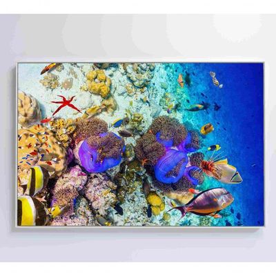 Quadro Peixes Coloridos Fundo Do Mar Medidas 120x80 Cm Impressão Vidro Acrílico
