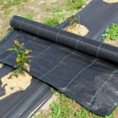 Ráfia De Solo 1,40 X 10 Mts 90 Gr Selamento Ultrassónico
