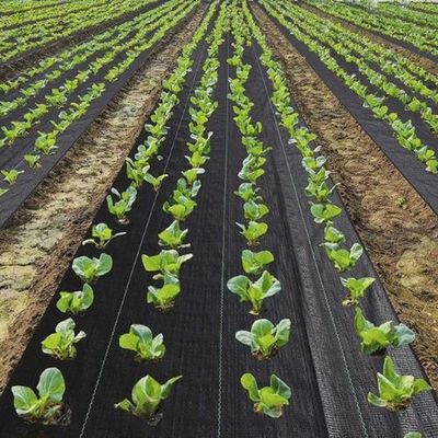 Ráfia De Solo 1,40 X 25 Mts 90 Gr Selamento Ultrassónico