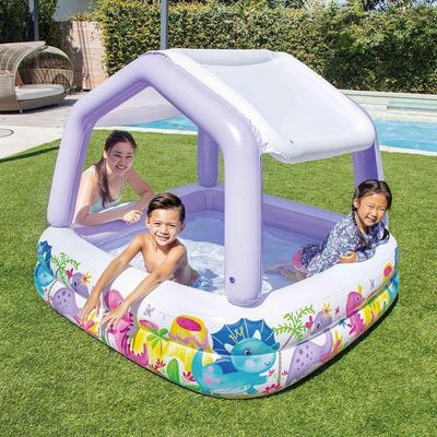Piscina Inflável Infantil Lazer Cobertura Removível 295l Intex
