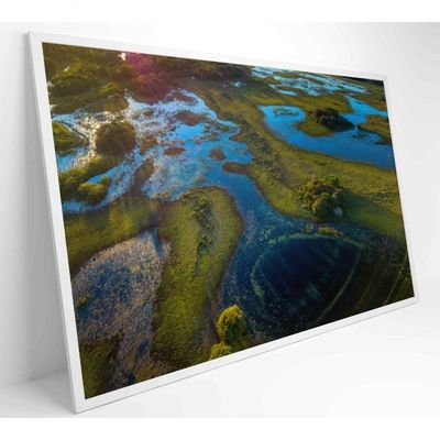 Quadro Lagos Inundadas No Pantanal Medidas 60x40 Cm Impressão Adesivo Fotográfico
