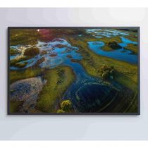 Quadro Lagos Inundadas No Pantanal Medidas 60x40 Cm Impressão Adesivo Fotográfico