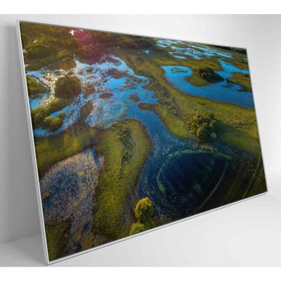 Quadro Lagos Inundadas No Pantanal Medidas 60x40 Cm Impressão Adesivo Fotográfico