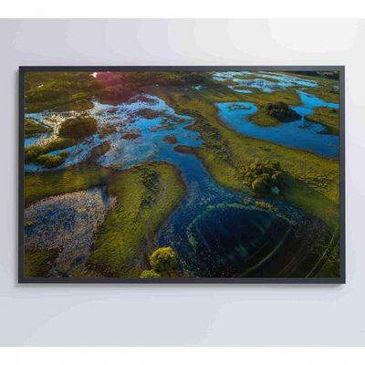 Quadro Lagos Inundadas No Pantanal Medidas 60x40 Cm Impressão Tecido Canvas