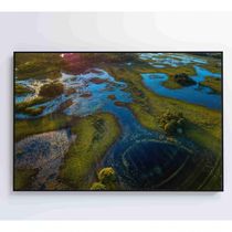Quadro Lagos Inundadas No Pantanal Medidas 60x40 Cm Impressão Tecido Canvas