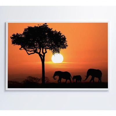 Quadro Família De Elefantes Em Pôr Do Sol Na áfrica Medidas 40x60 Cm Impressão Adesivo Fotográfico