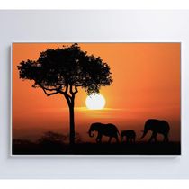 Quadro Família De Elefantes Em Pôr Do Sol Na áfrica Medidas 40x60 Cm Impressão Adesivo Fotográfico
