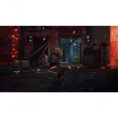 Jogo Stray - Playstation 5