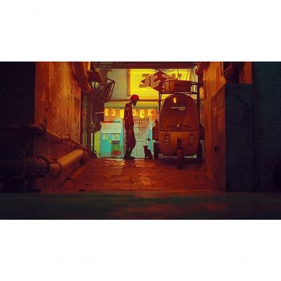 Jogo Stray - Playstation 5