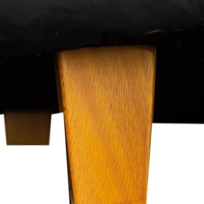 Poltrona Cama Caminha Pet Laddi Veludo Preto Dvinn Preto