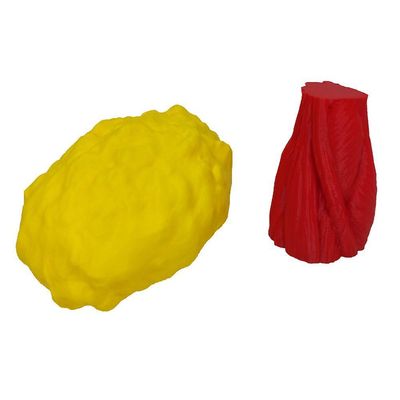 Kit Peças Anatômicas Gordura E Músculo Com Suporte Réplica Humano