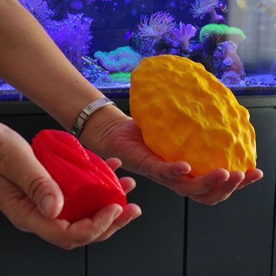Kit Peças Anatômicas Gordura E Músculo Com Suporte Réplica Humano