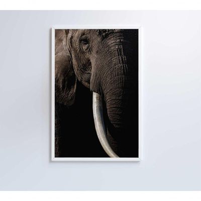 Quadro Natureza Elefante Africano Medidas 40x60 Cm Impressão Adesivo Fotográfico