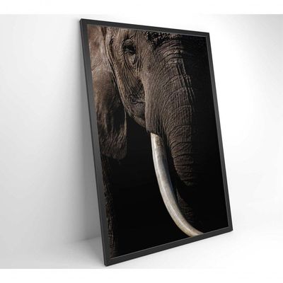 Quadro Natureza Elefante Africano Medidas 40x60 Cm Impressão Adesivo Fotográfico
