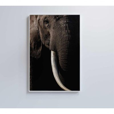 Quadro Natureza Elefante Africano Medidas 40x60 Cm Impressão Adesivo Fotográfico