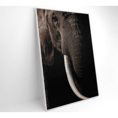 Quadro Natureza Elefante Africano Medidas 40x60 Cm Impressão Adesivo Fotográfico