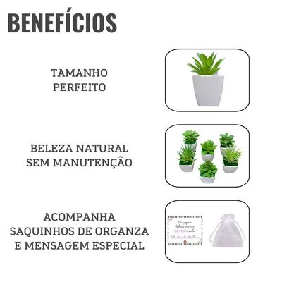 Mini Vasos Suculentas Artificiais Sortidas Saquinho Organza