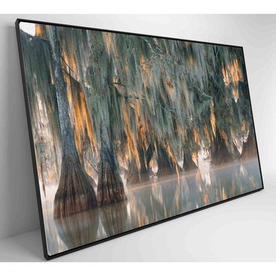 Quadro árvores De Ciprestes No Lago Martin Medidas 90x60 Cm Impressão Tecido Canvas