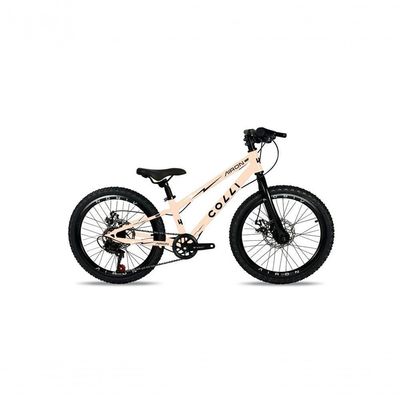 Bicicleta Colli Airon Aro 20 Freio A Disco Preto