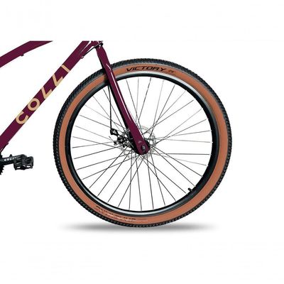 Bicicleta Aro 29 Vancouver 21 Marchas Freio A Disco Colli Roxo