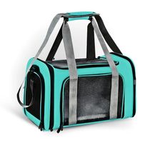 Bolsa De Viagem Verde Para Pet Alças Ajustáveis