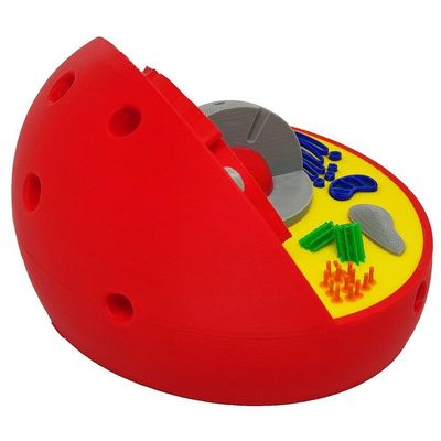 Célula Animal Eucarionte 14 Cm Impressão 3d Maquete Biologia Citologia